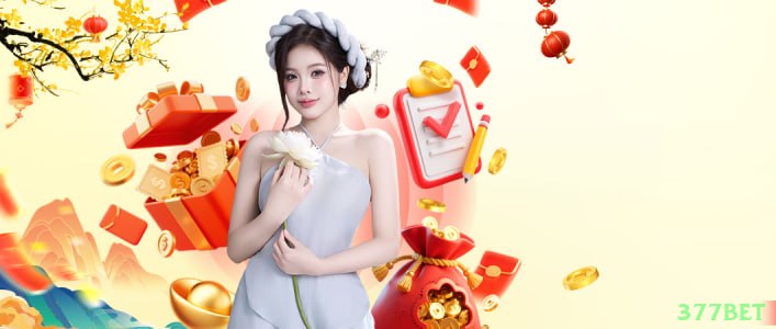 Termos e Condições